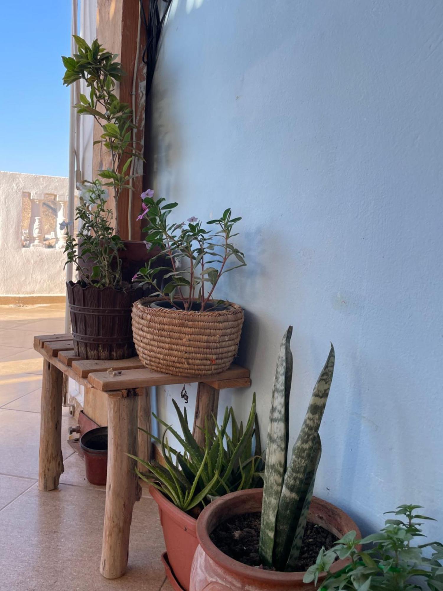 Hotel Kosasurfmorocco Aourir Exteriér fotografie